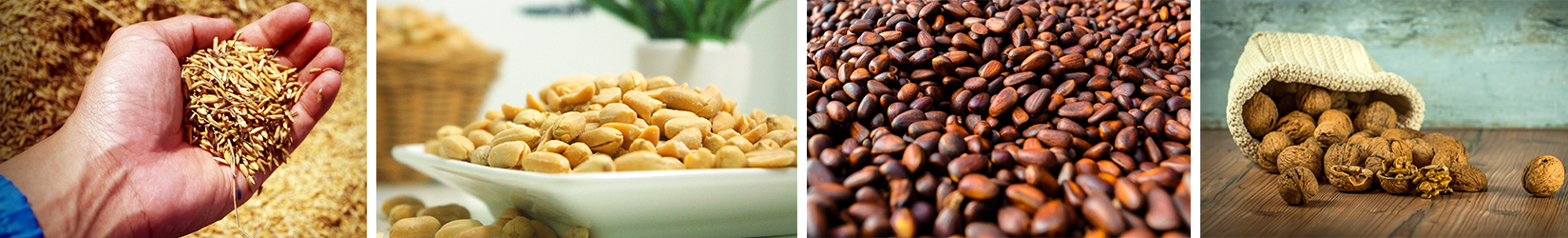 l-arginin-wissen.de - Lebensmittel